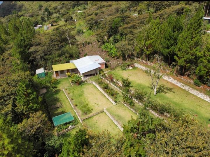 Lucmabamba Lodge 圣特雷莎 外观 照片