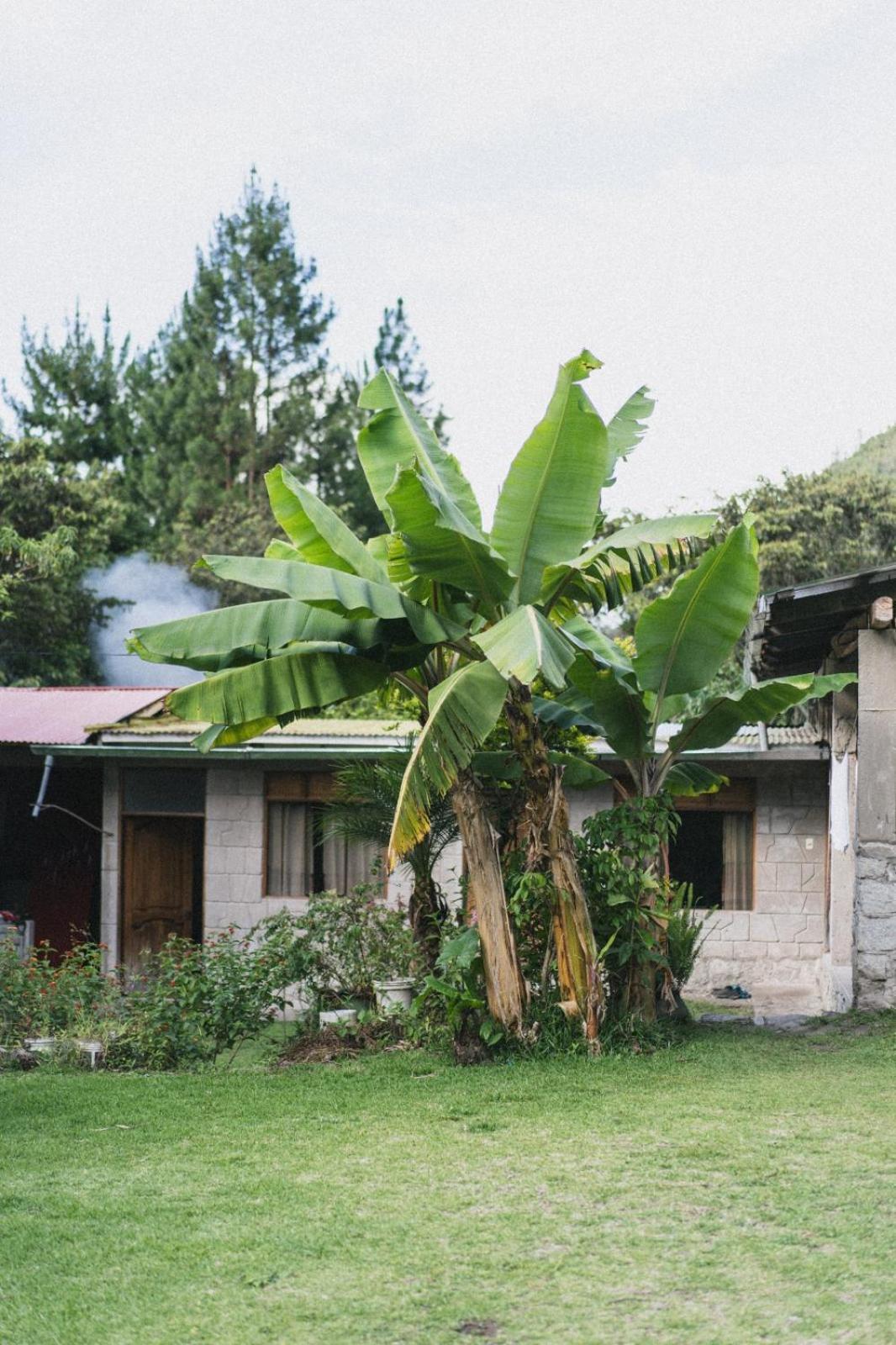 Lucmabamba Lodge 圣特雷莎 外观 照片